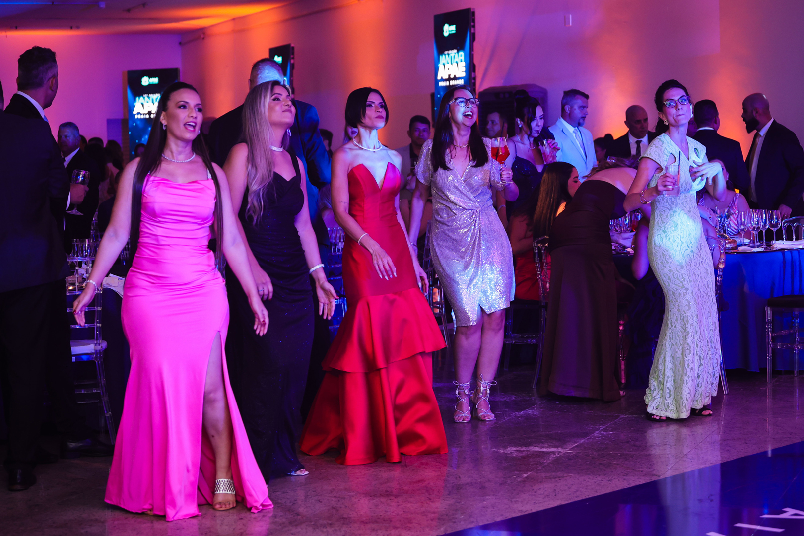 13ª Jantar da APAE Praia Grande 2025 APAE 25 160