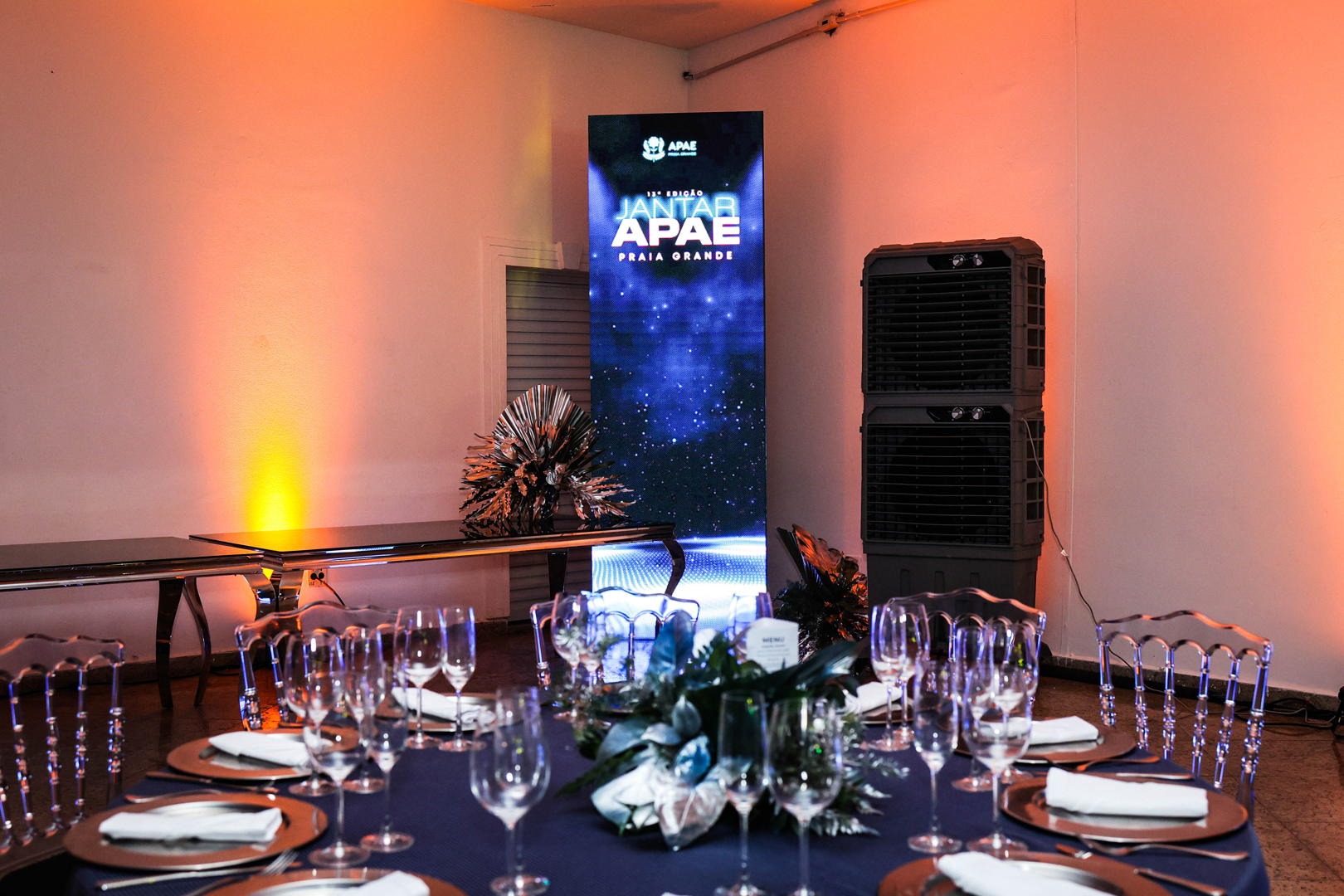 13ª Jantar da APAE Praia Grande 2025 APAE 25 39